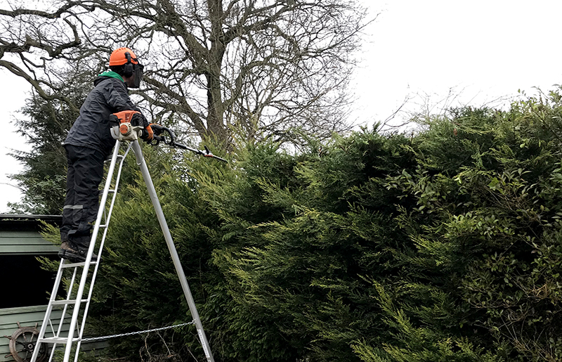 The Jolly Gardeners